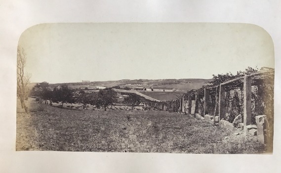 Illustration du produit