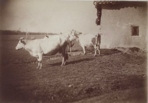 Illustration du produit
