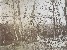 Product Sous bois. Vers 1870 thumbnail