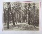 Product The Hague, Netherlands. La Haye, Pays-Bas. 6 photographies. thumbnail
