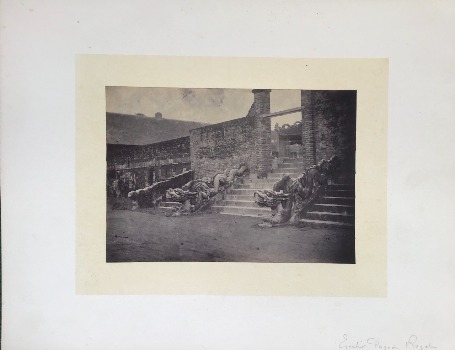 Illustration du produit