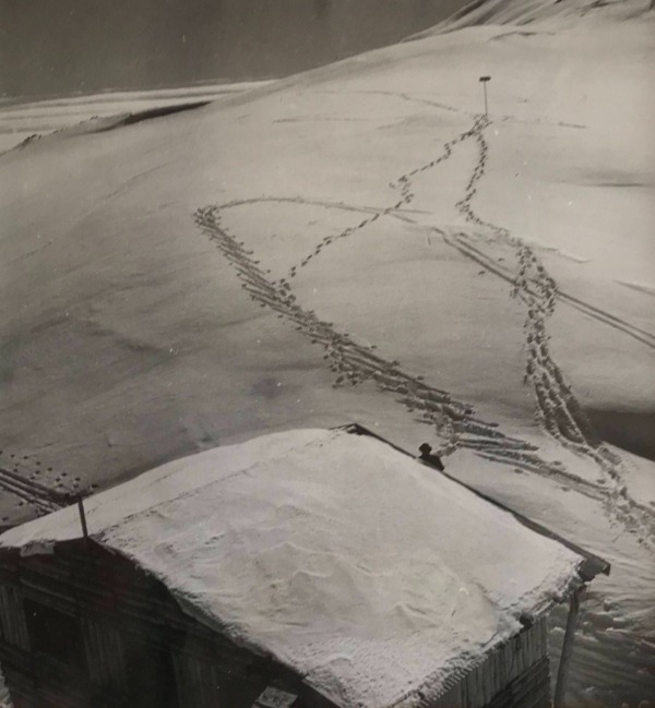 Image du produit Traces dans la neige.