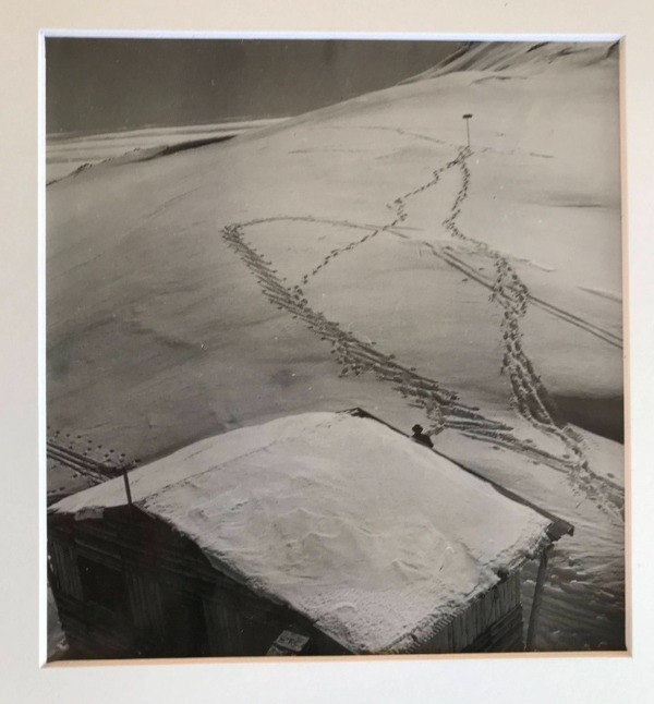 Image du produit Traces dans la neige.