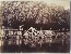 Miniature du produit Versailles. Le bassin de Neptune. Albumine.