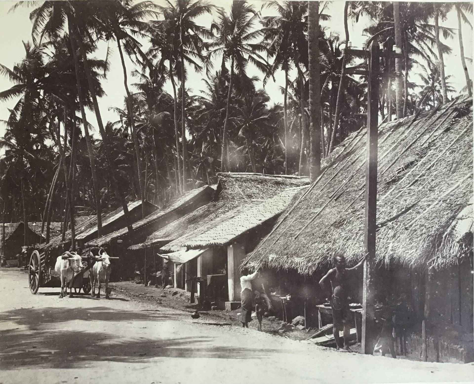 Product Village. Ceylan. thumbnail